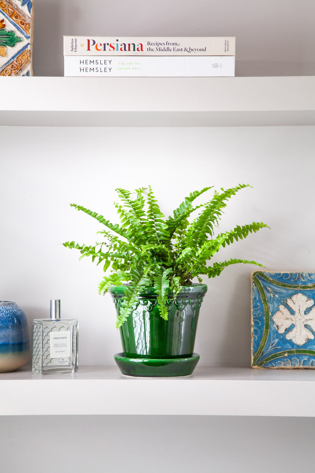 files/IndoorPlants_2-JamieShots20.11.2023-022.jpg